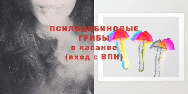 гидропоника Новокубанск