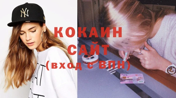 молекула духа Новозыбков
